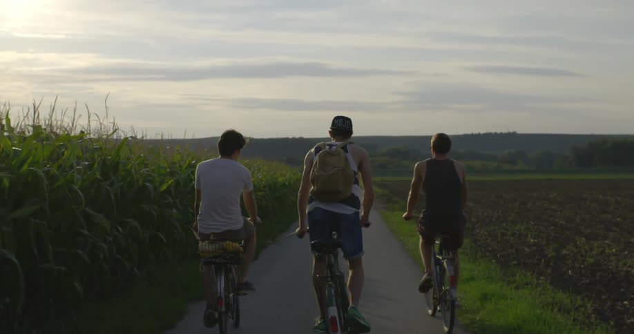 Three men ride bicycles by a corn field