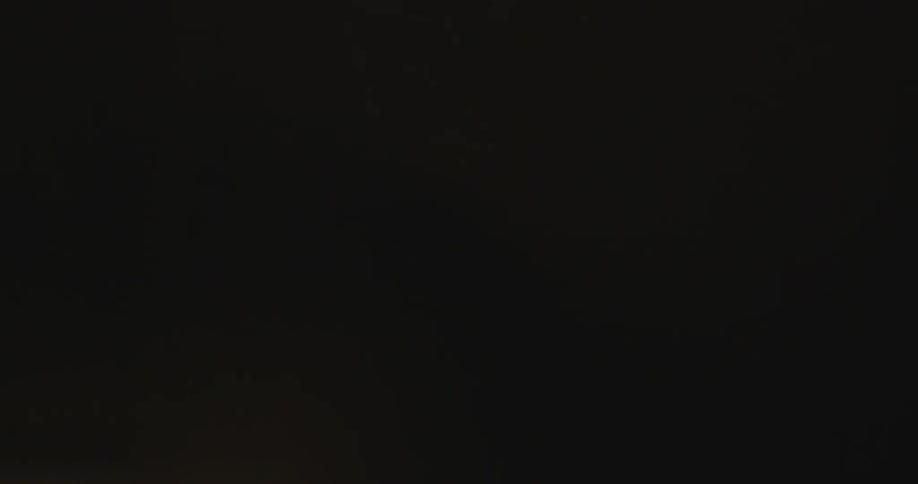 The lights shine in the dark by the bush
