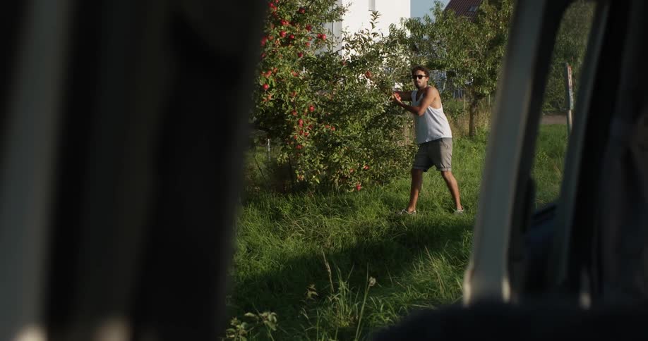 Man picks fruit from a tree as a car drives off