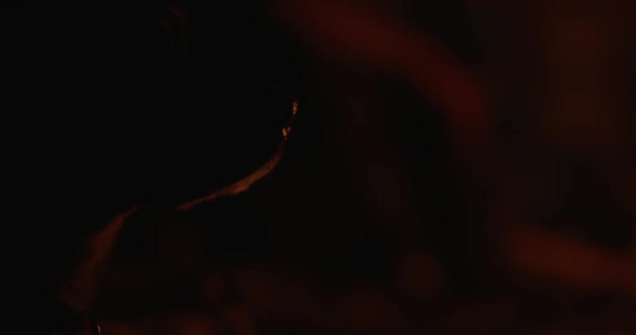 A dog sits outside by a fire at night