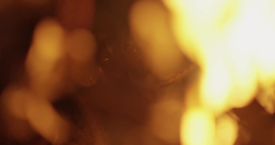 A leafy fire