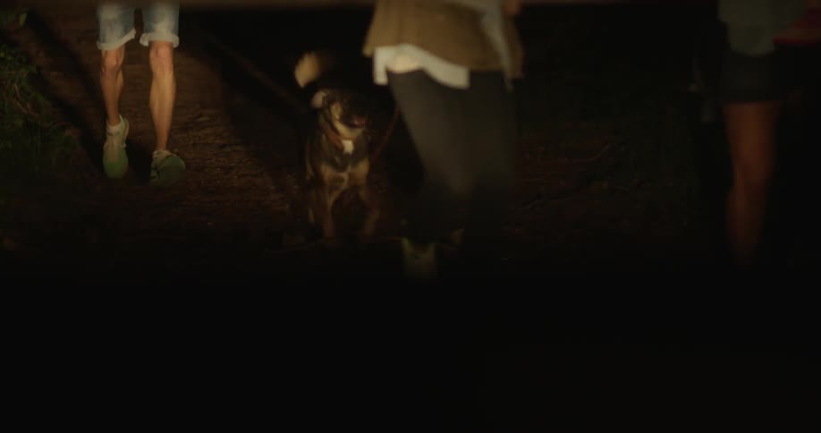People walk with a dog outside at night