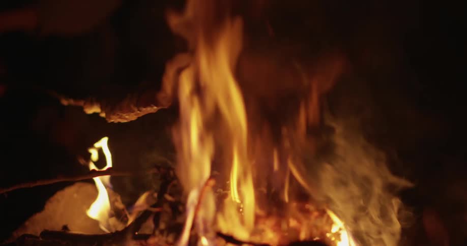 A person roasts meat on a campfire