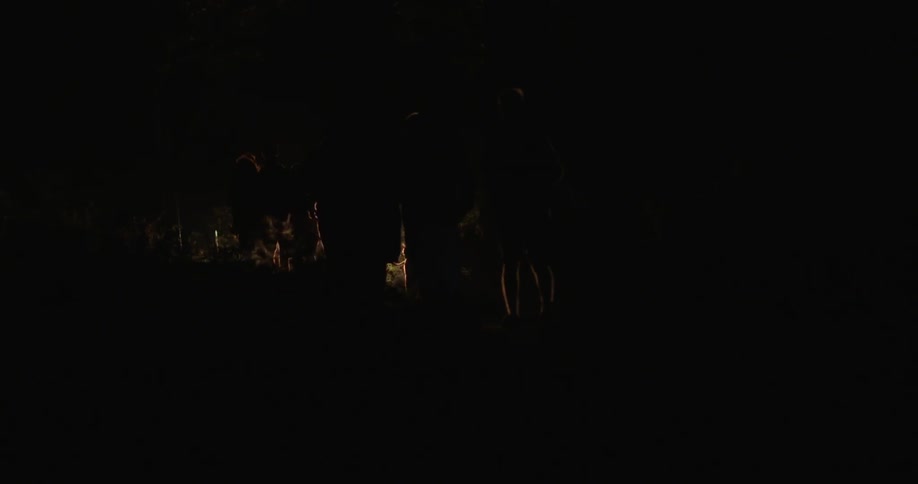 A group of people with flashlights are walking on a path at night