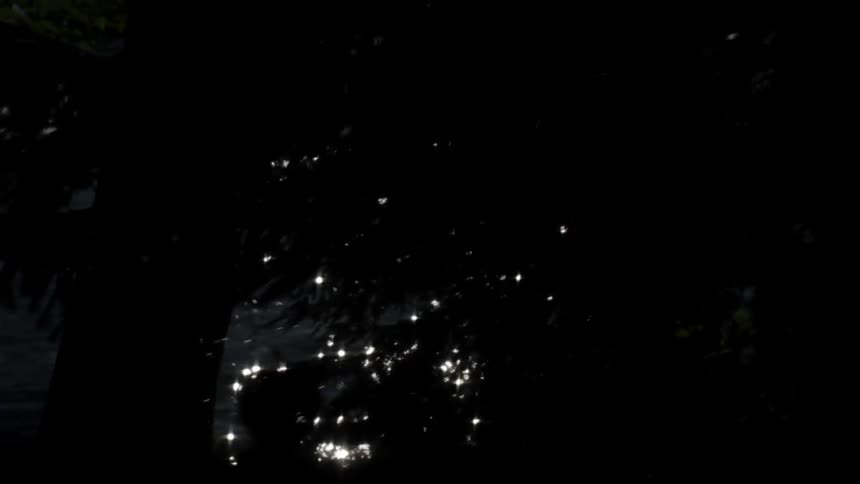 Light shimmering off some water in a dark setting