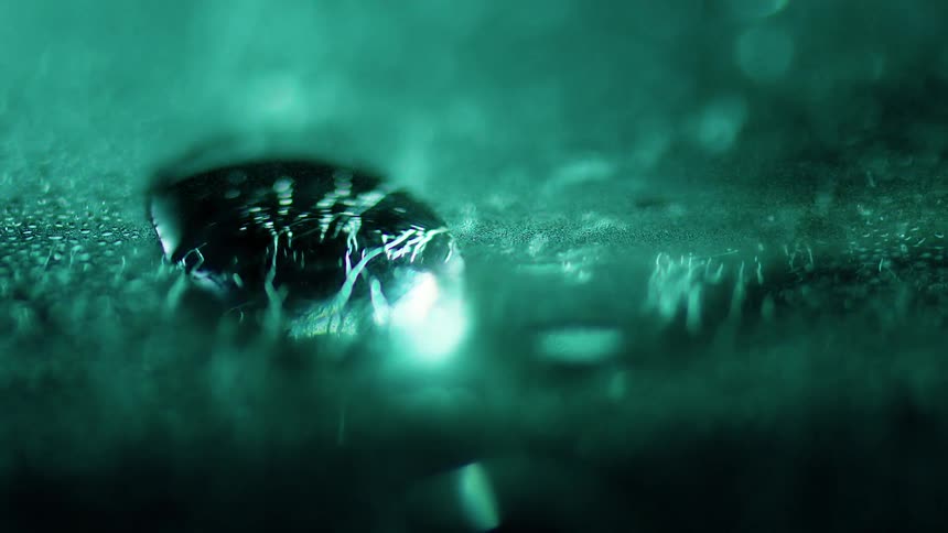 A blue glowing fungus is being illuminated