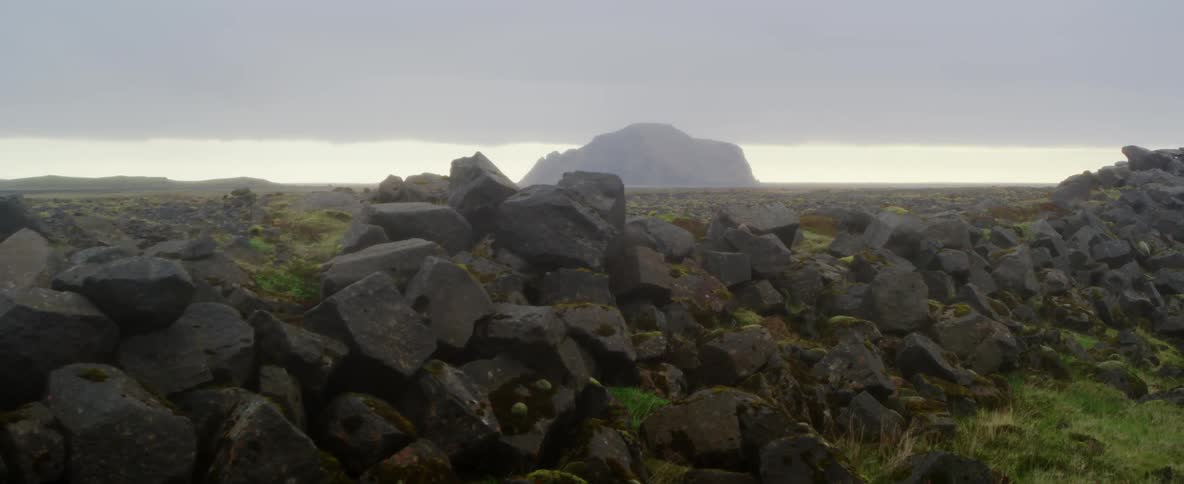 Rocks cover the ground in a rural field