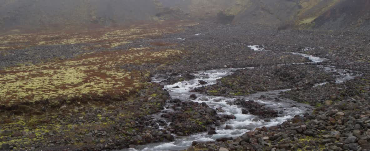 A stream is flowing rapidly through a natural landscape on a foggy day