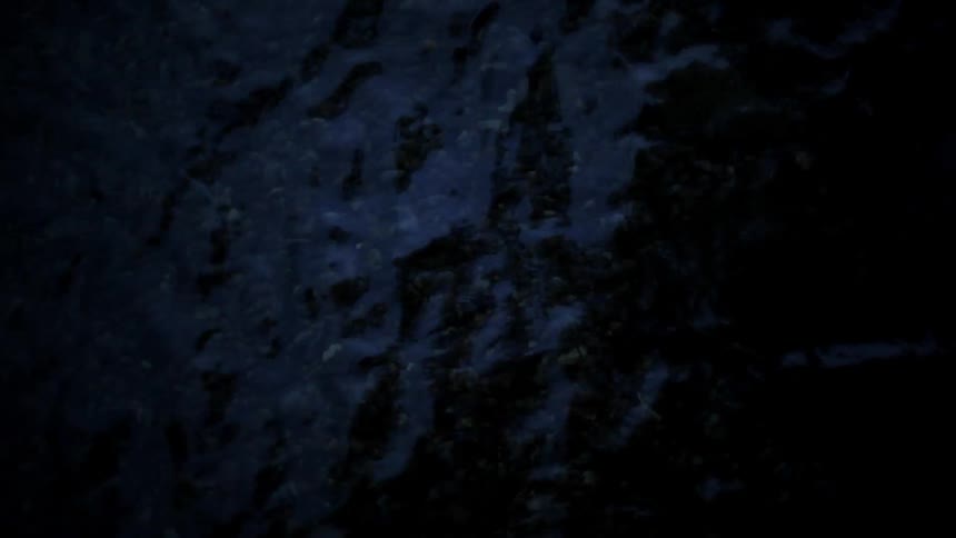 Water is rippling in a stream at dusk