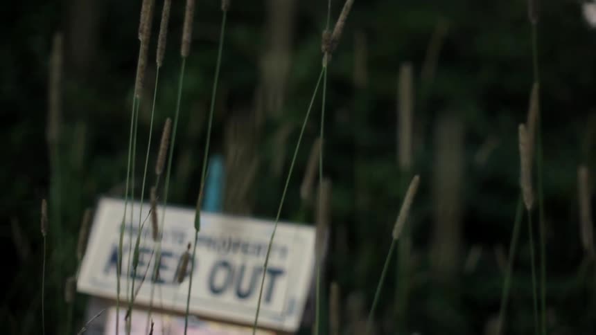 Grass reeds sway in the breeze near a sign at dusk