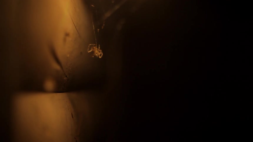 A spider moves his legs along his web while bugs fly around in the light
