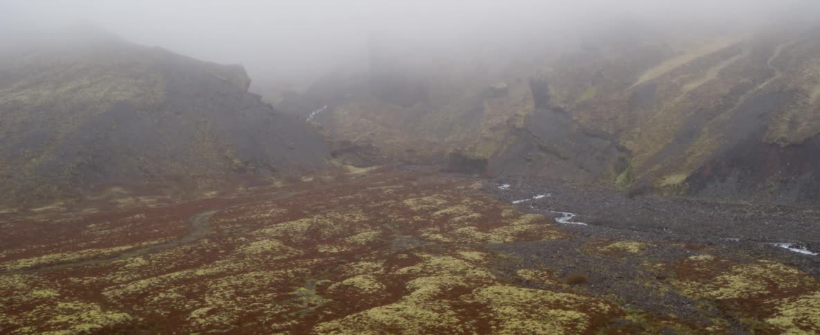 A stream is flowing rapidly through a natural landscape on a foggy day