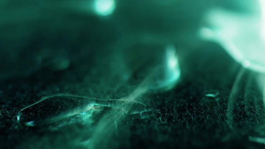 Mist floats over the ground