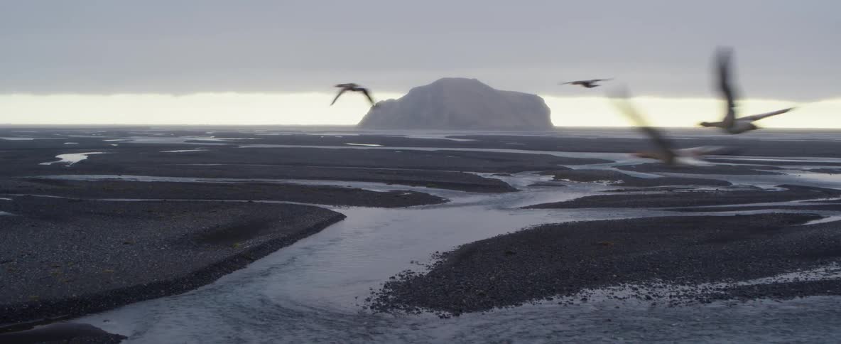 Birds are flying over a coastal wetland near a rock island on a stormy day