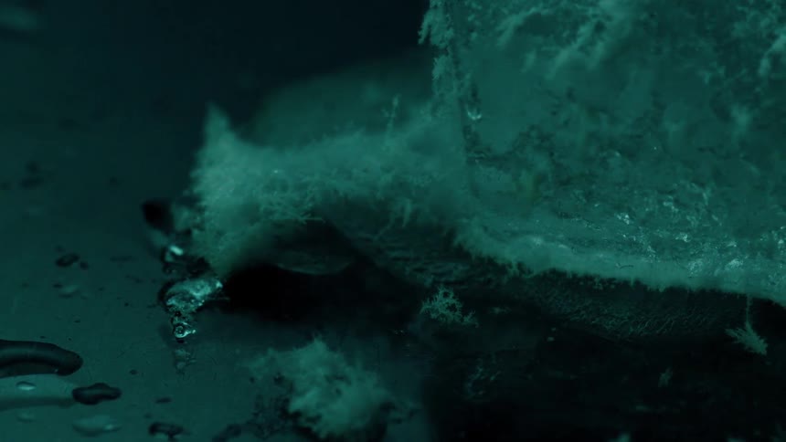 Ice crystals are melting in abstract