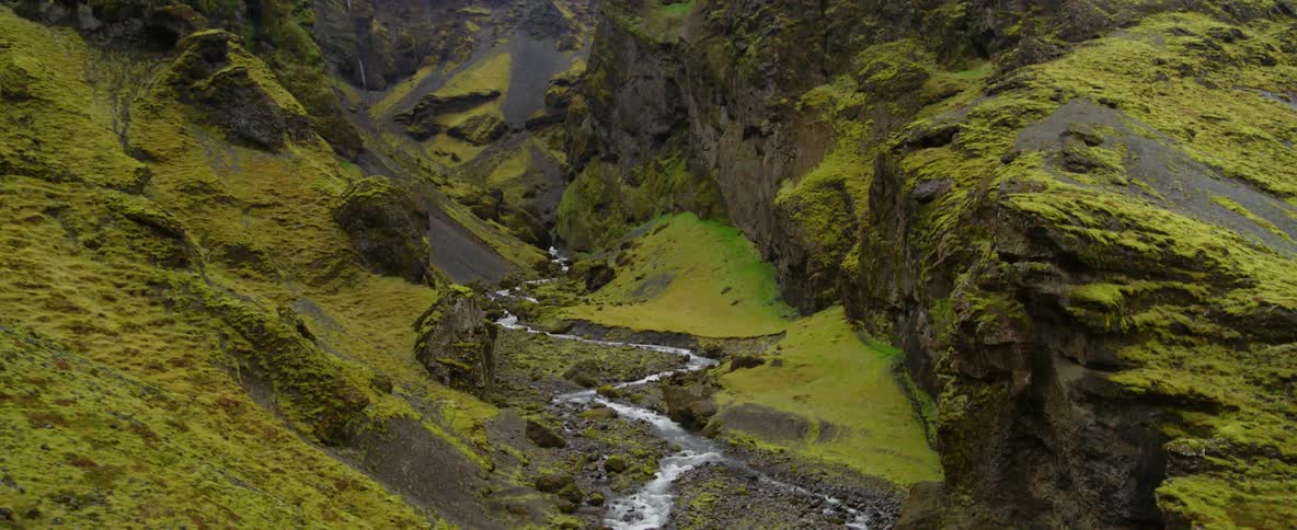 A river is flowing rapidly through a mountain ravine during the day