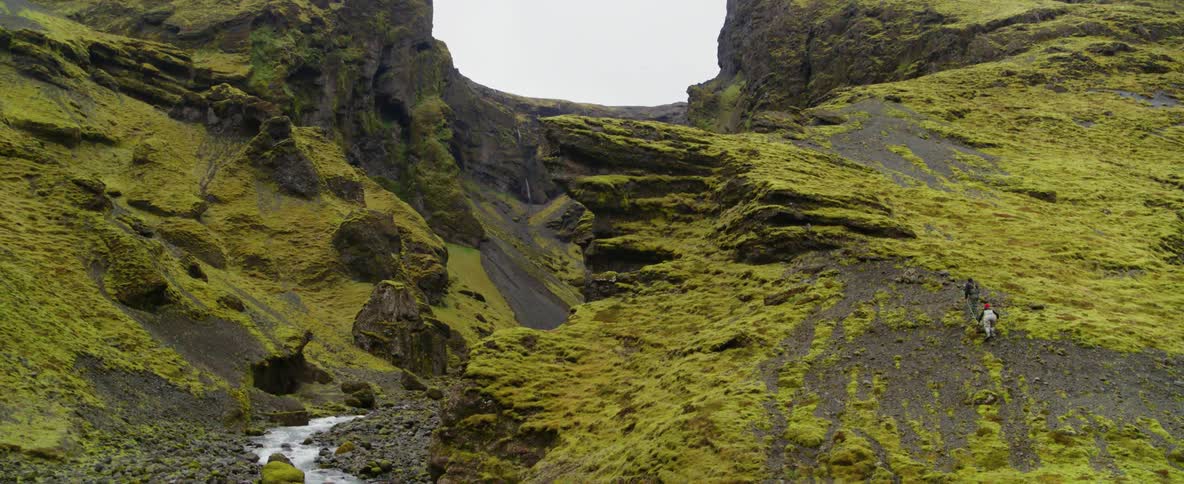 A mountain stream flows along moss covered rocks