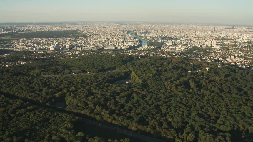 A river runs through a forest and out toward a city on a sunny day