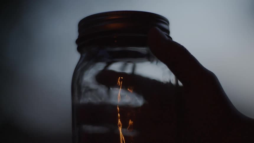 A jar full of insects