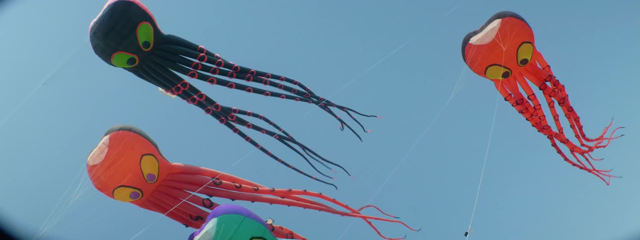 Octopus kites fly in the air