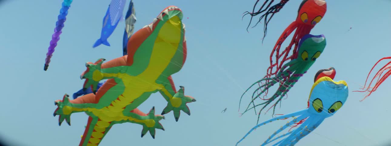 A bunch of kites are flying in the air