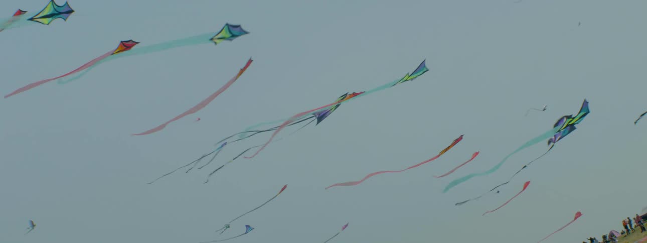 Kites flying through the sky