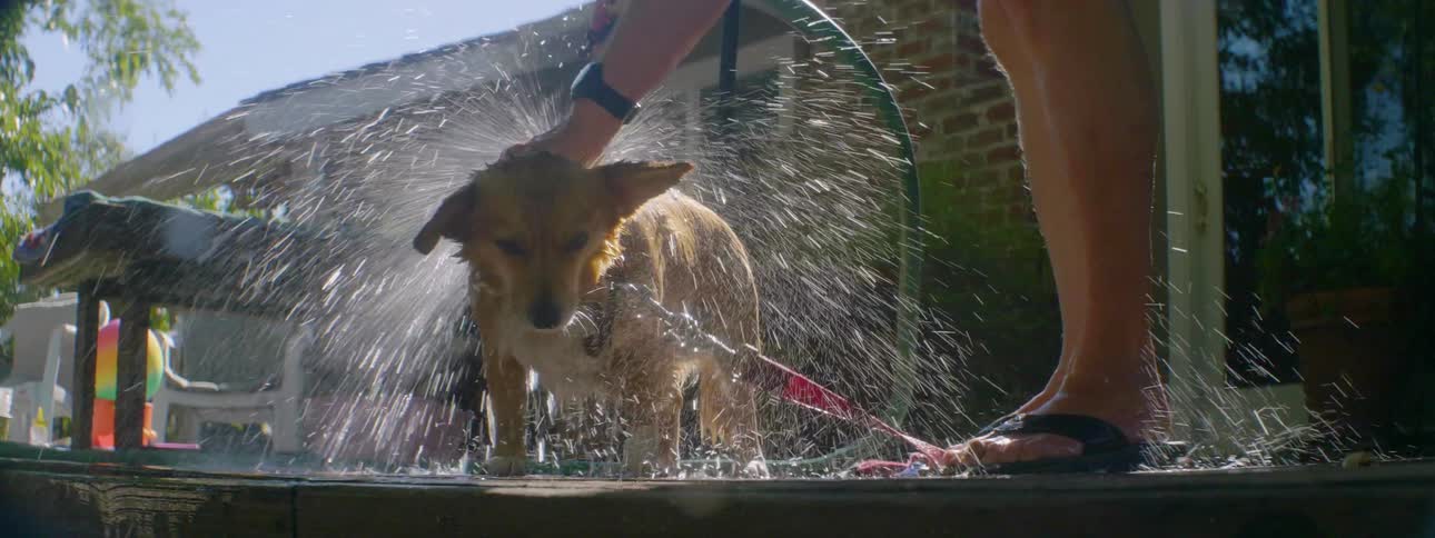 Man washes a dog on a back deck