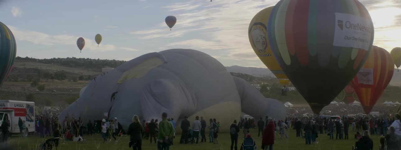 A crowd gathers in a field near hot air balloons