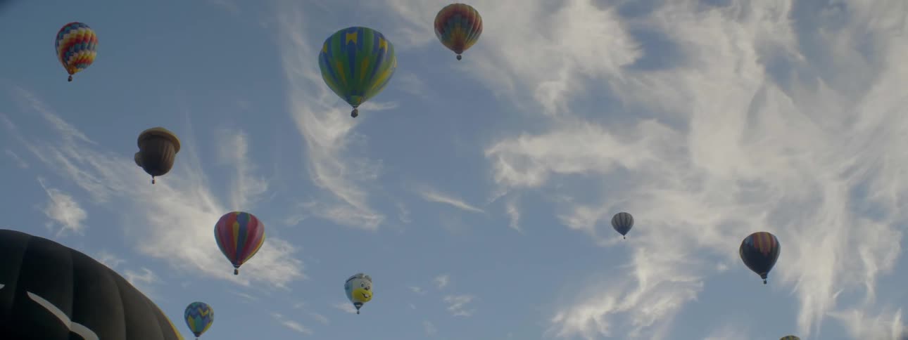 Hot air balloons float in the sky