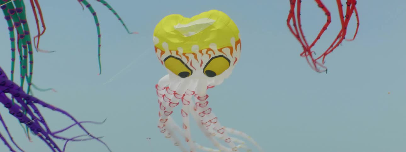 Octopus kites fly in the air