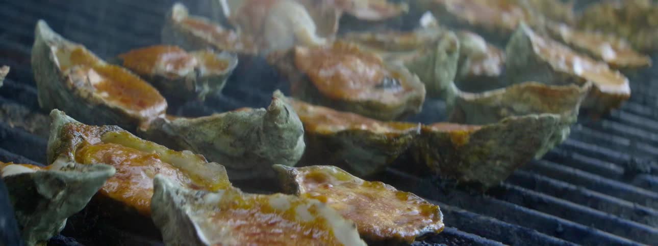 Oysters on the half shell are on a grill being cooked
