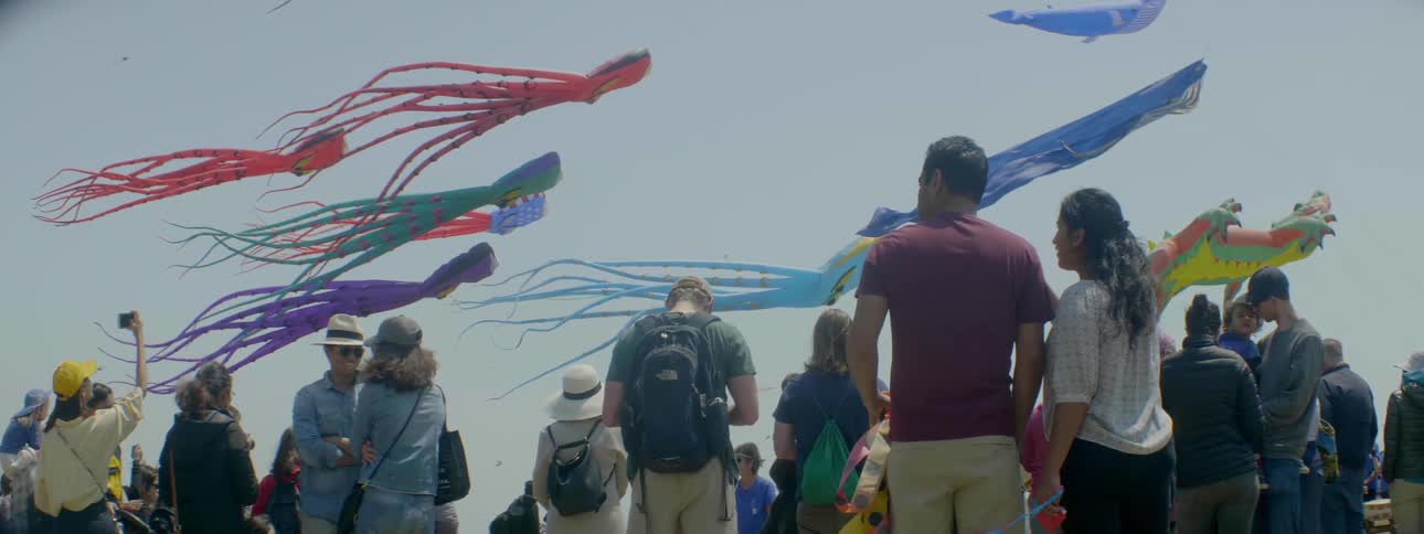 A group of people watch the kites fly in the sky
