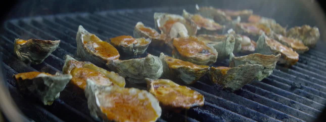 Oysters steam and bubble as they are grilled
