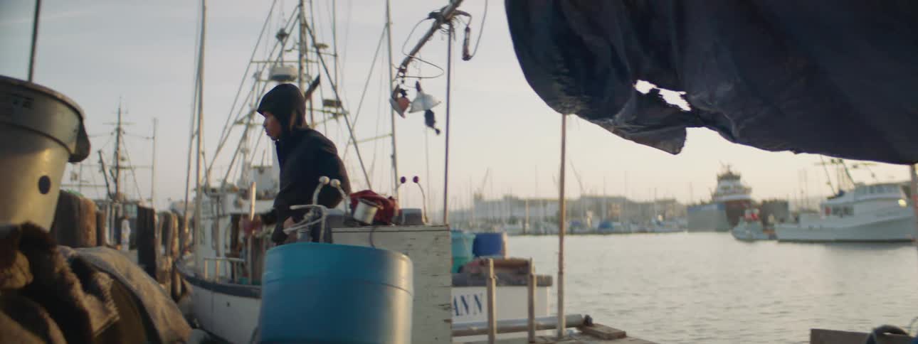 A man is standing on the doc looking at the boats