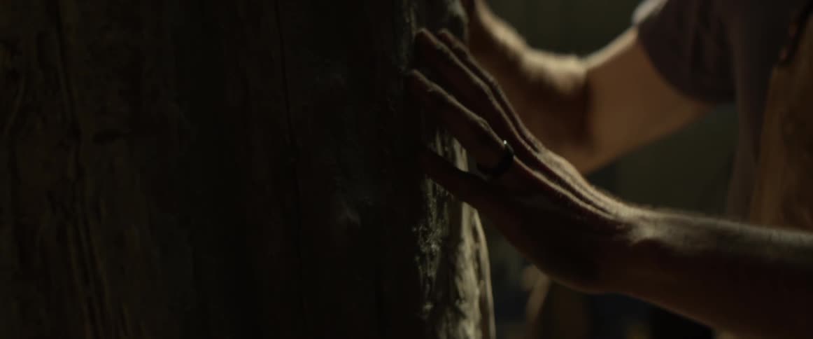 A man is walking around a tree trunk with his hands on it feeling its marks