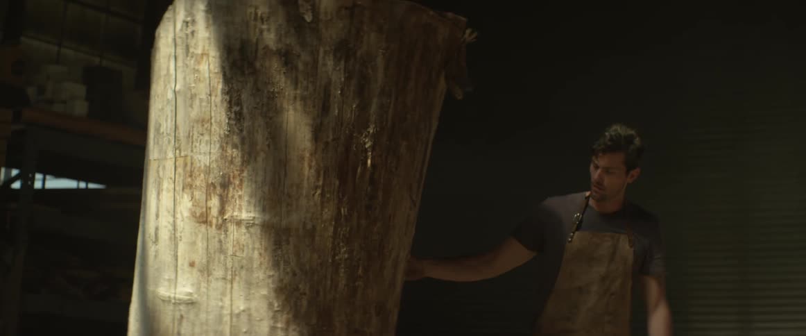 Man inspects a smooth tree stump
