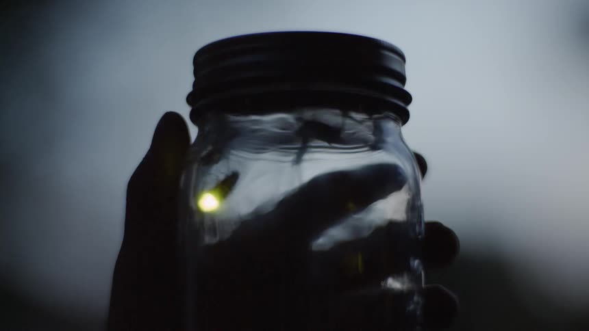A jar full of insects