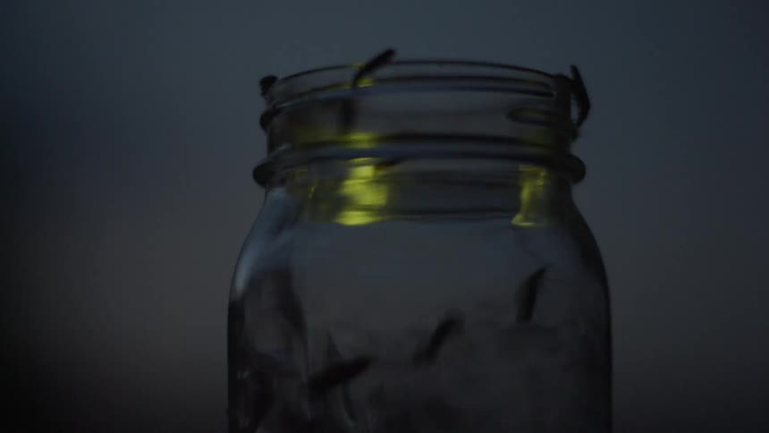 A woman releases a jar of fireflies