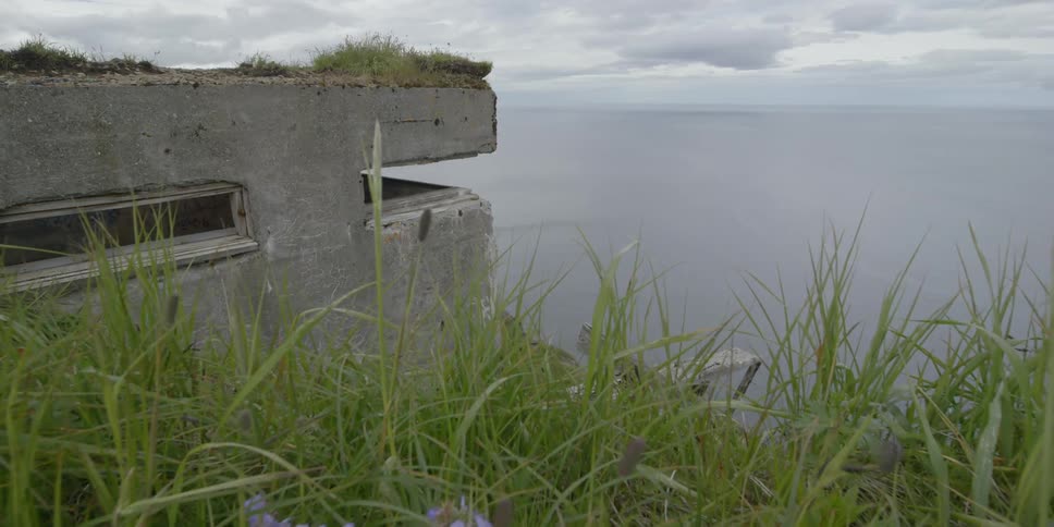 Grass sways in the breeze by a bunker by the water