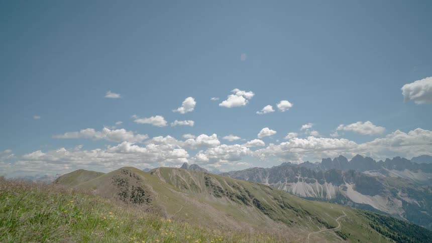 The breeze blows the grass in flowers atop a mountain