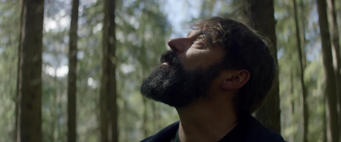 Man looks up at trees in a forest