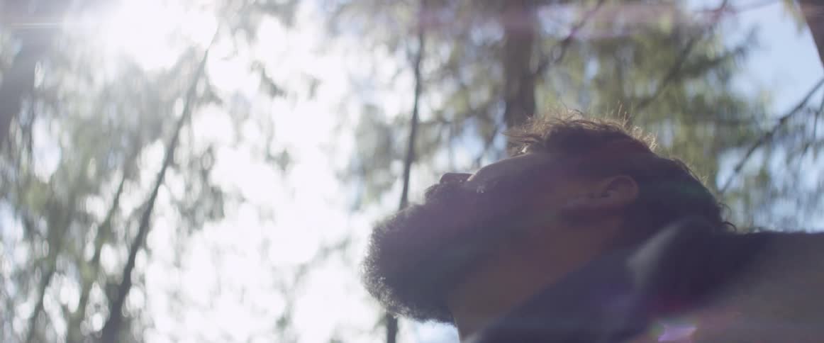 A man is standing in a forest looking up at the sky on a sunny day