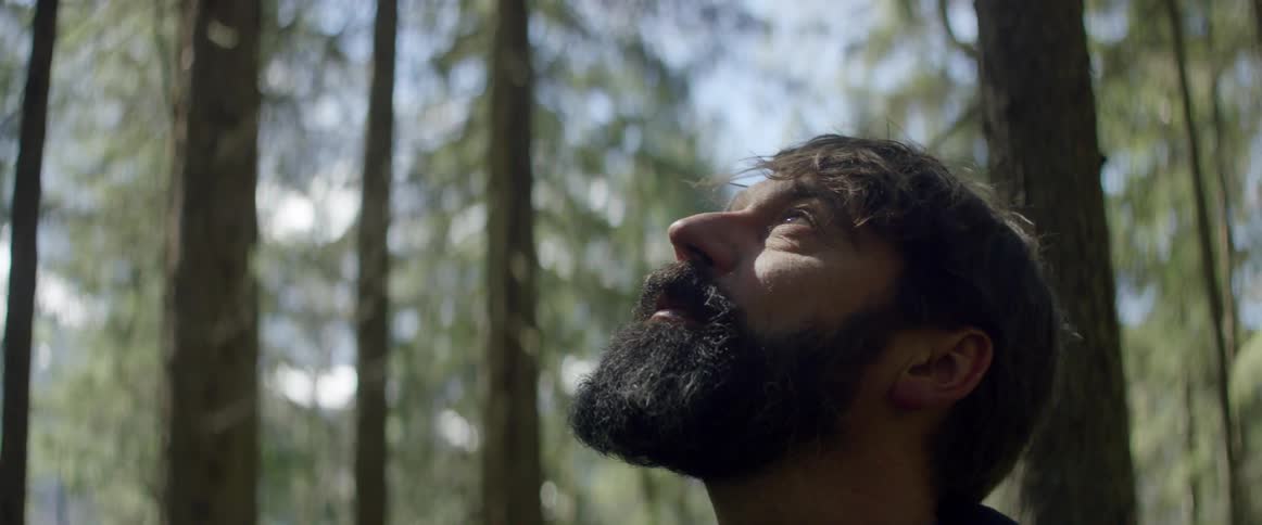 A bearded man stares upward at trees