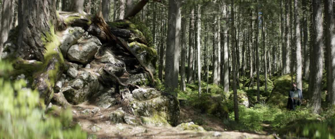 Man walks through the woods