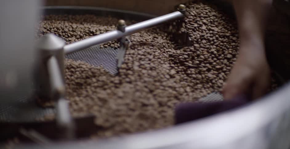 A man wipes beans through a sorting machine