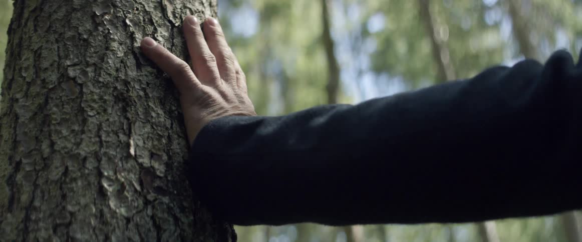 A man presses his hand against a tree