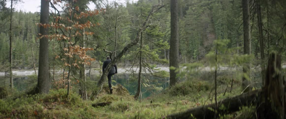 A man walks through the woods towards the lake