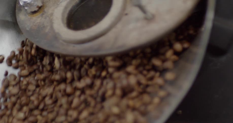 Coffee beans pour from a roaster