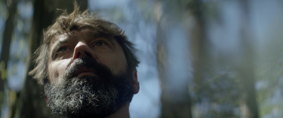 A bearded man in the forest