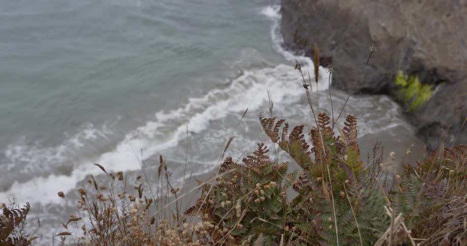 The wind is very strong by the shore